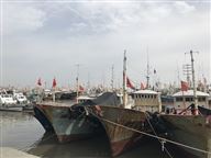 总预算约3.8亿元，48个智慧政务相关项目招标中