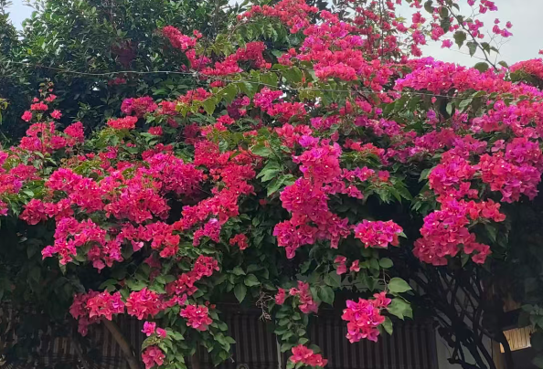 移动电源强制性国家标准公布 将为消费者提供更安全、更实用的充电产品