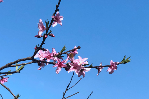 2025 年 11 月国民经济运行数据：生物基材料产业表现亮眼