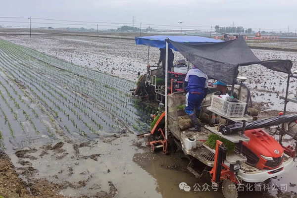 循科公司助力PBST全生物降解地膜于营口成功落地