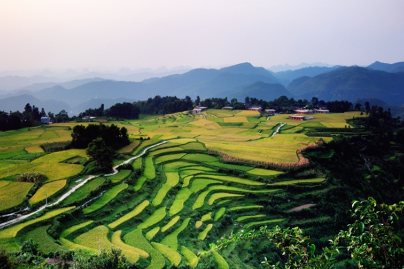 安徽省总工会赴宿州调研市快递行业工会联合会工作并开展慰问