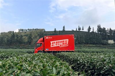 京东物流送达今年全国首批早春茶，峨眉鲜茶快递日单量同比增100%