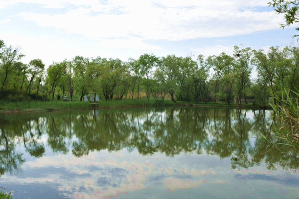 锦州局联合市消防救援局发文加强行业“四支队伍”建设