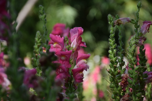 山东7部门联合发布快递员群体权益保障“暖蜂八条”