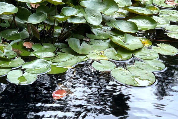 无氟防水剂应用领域：冲锋衣